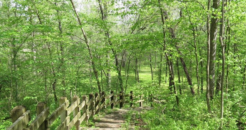 Boone's Lick State Historic Site, Missouri, USA